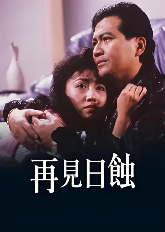 再见日蚀海报