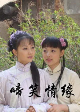啼笑情缘海报