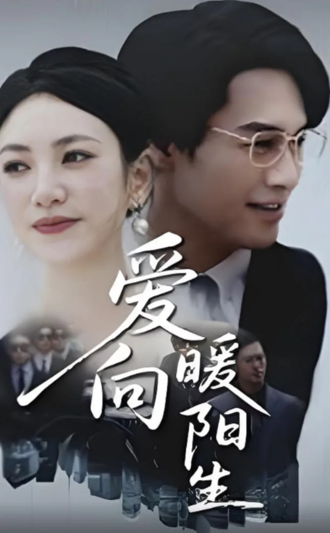 爱向暖阳生海报