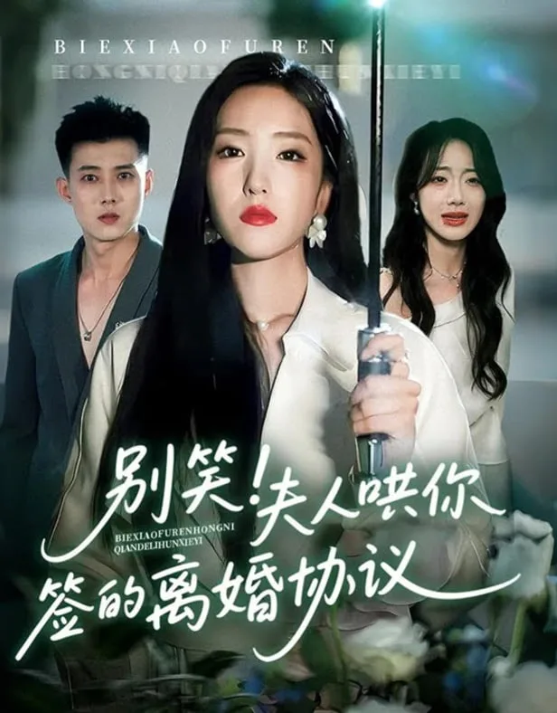 别笑夫人哄你签的离婚协议海报