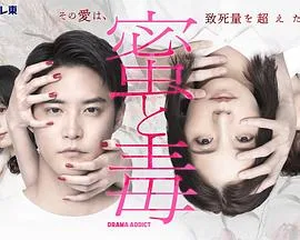 蜜与毒～逆恨的复仇海报