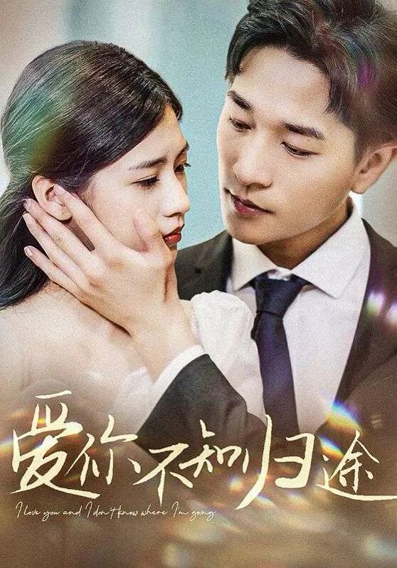爱你不知归途（爱你漫漫长路）海报