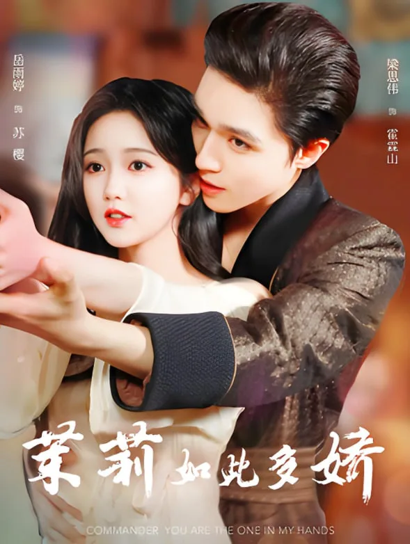 茉莉如此多娇海报