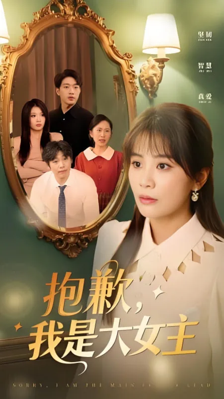 女主，对不起！海报