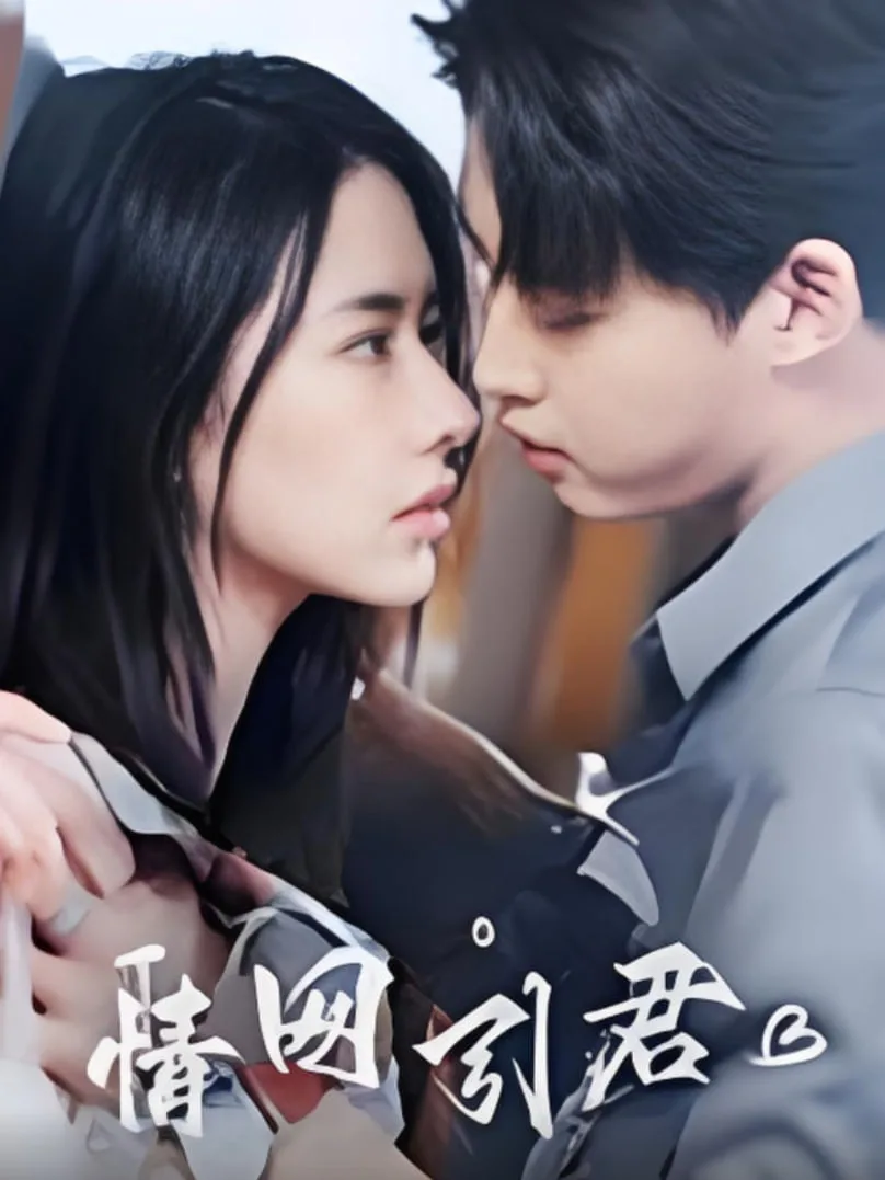 情网引君海报