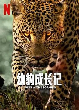 幼豹成长记海报