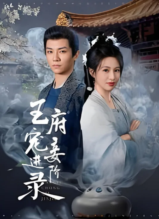 王府宠妾进阶录海报