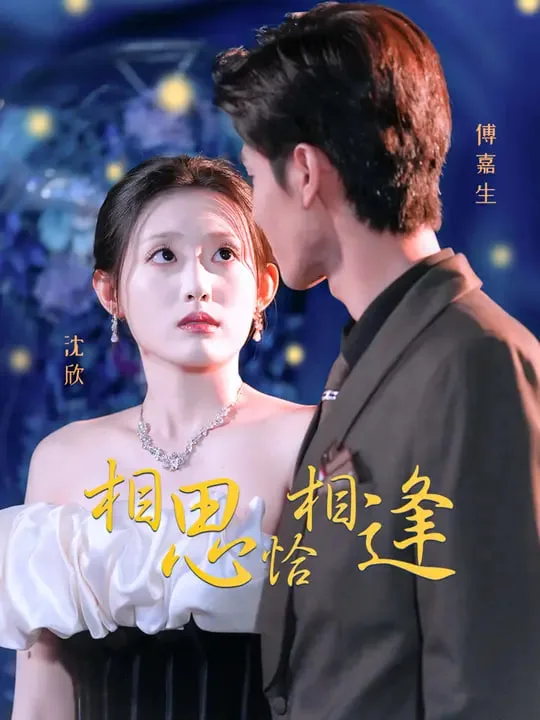 相思恰相逢海报