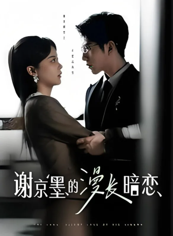 谢京墨的漫长暗恋海报