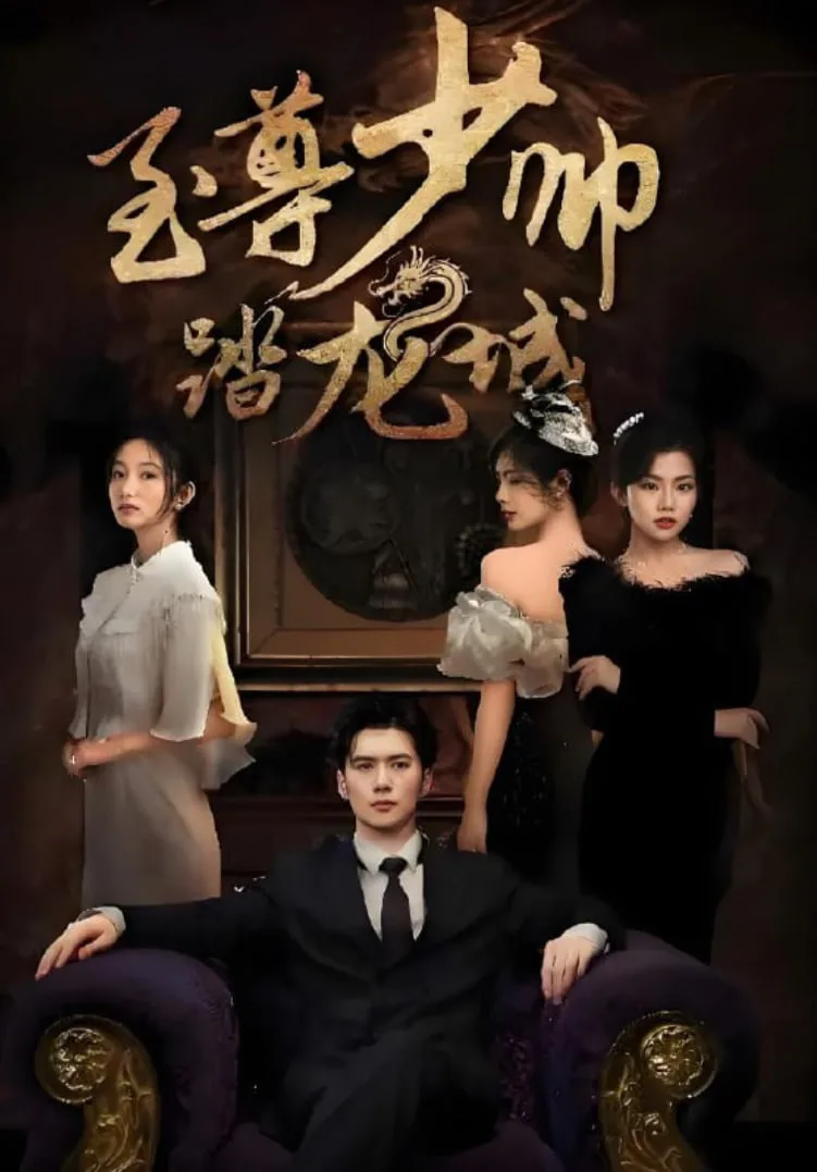 至尊少帅踏龙城海报