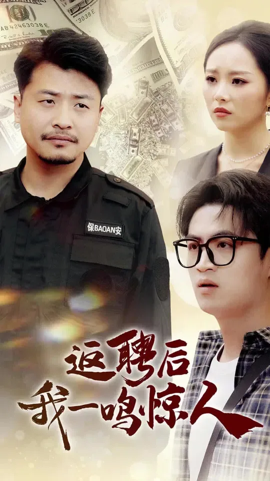 返聘后我一鸣惊人海报