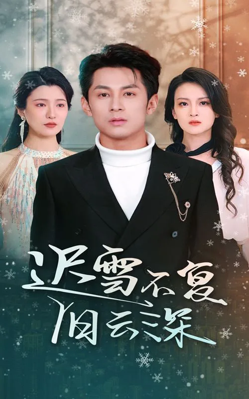 迟雪不复旧云深海报