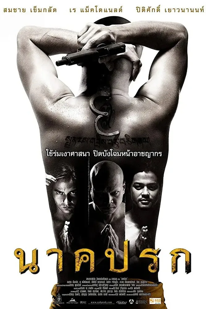 罪孽成佛 2008海报