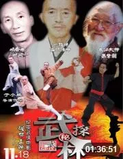 武林探秘海报