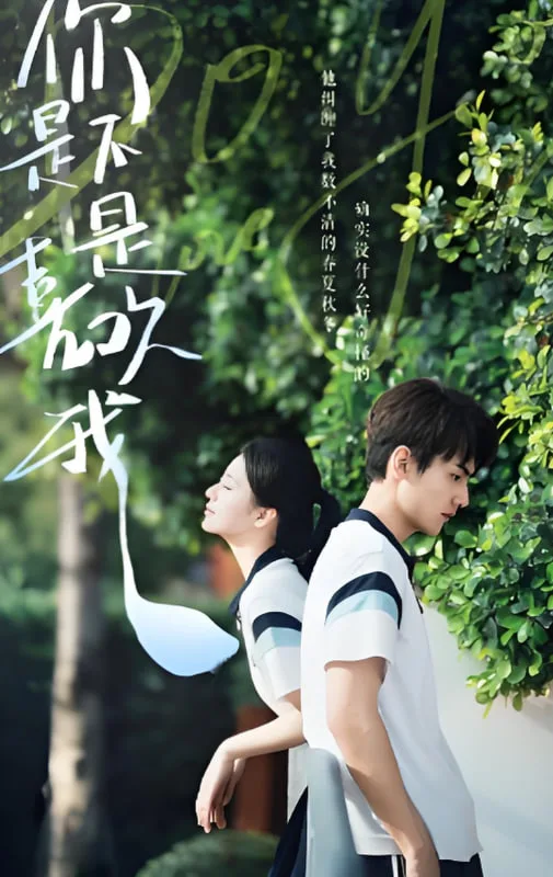 你是不是喜欢我海报