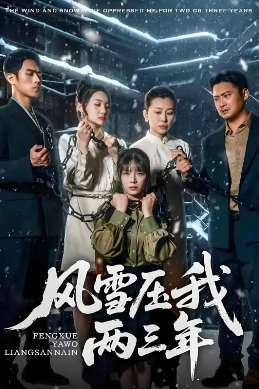 风雪压我两三年海报