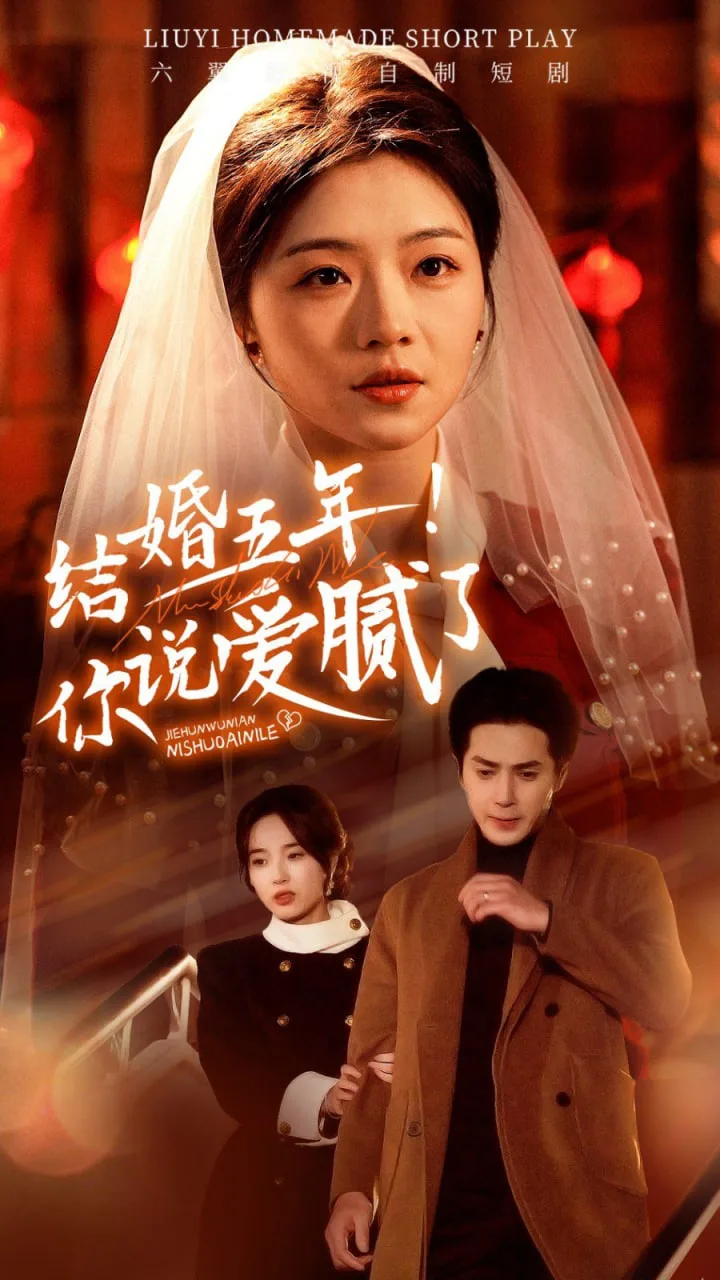 结婚五年你说爱腻了海报