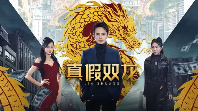 真假双龙(归龙)(冒牌赘婿)海报
