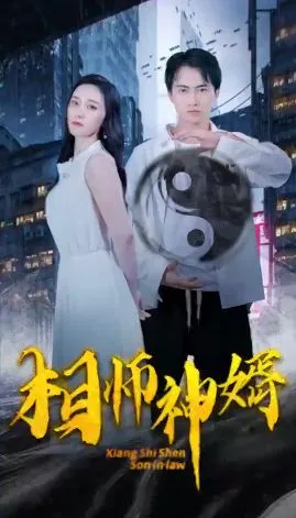 相师神婿海报