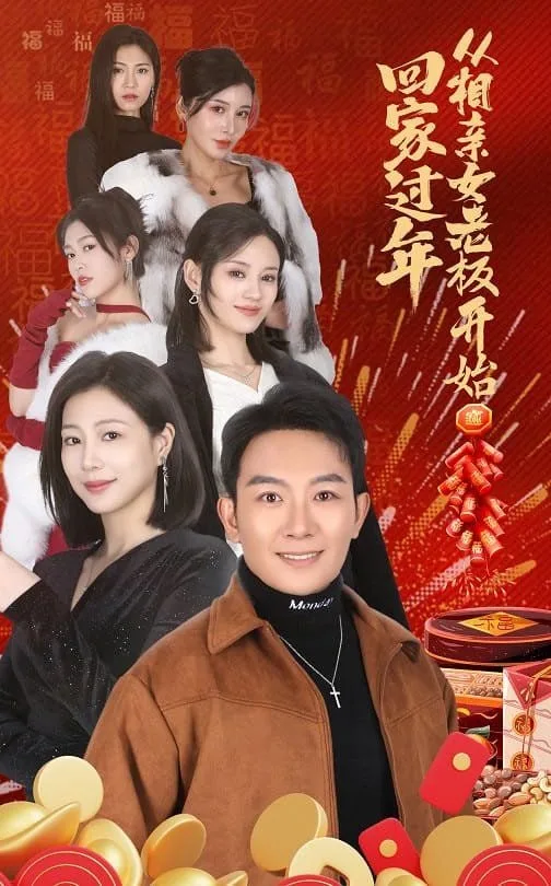回家过年从相亲女老板开始海报