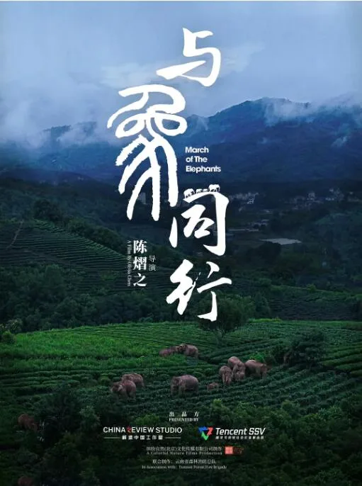 与象同行海报