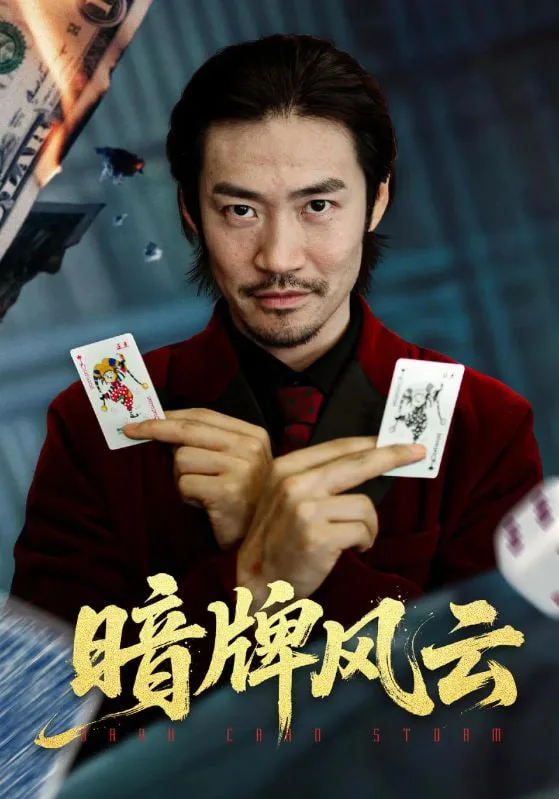 暗牌风云海报