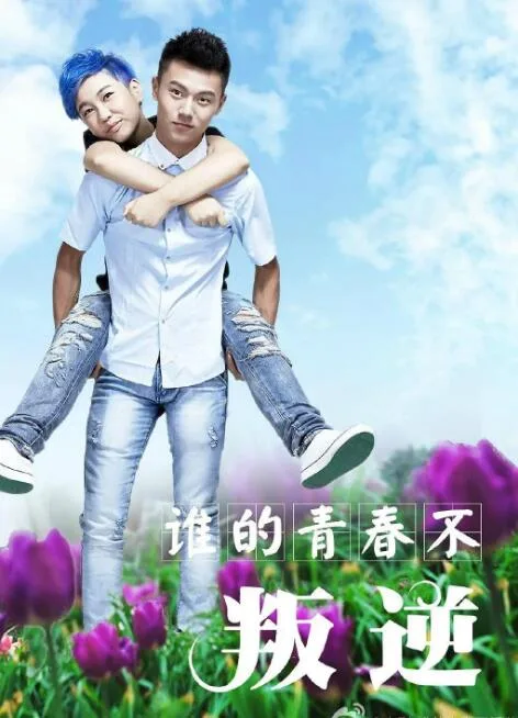 谁的青春不叛逆海报