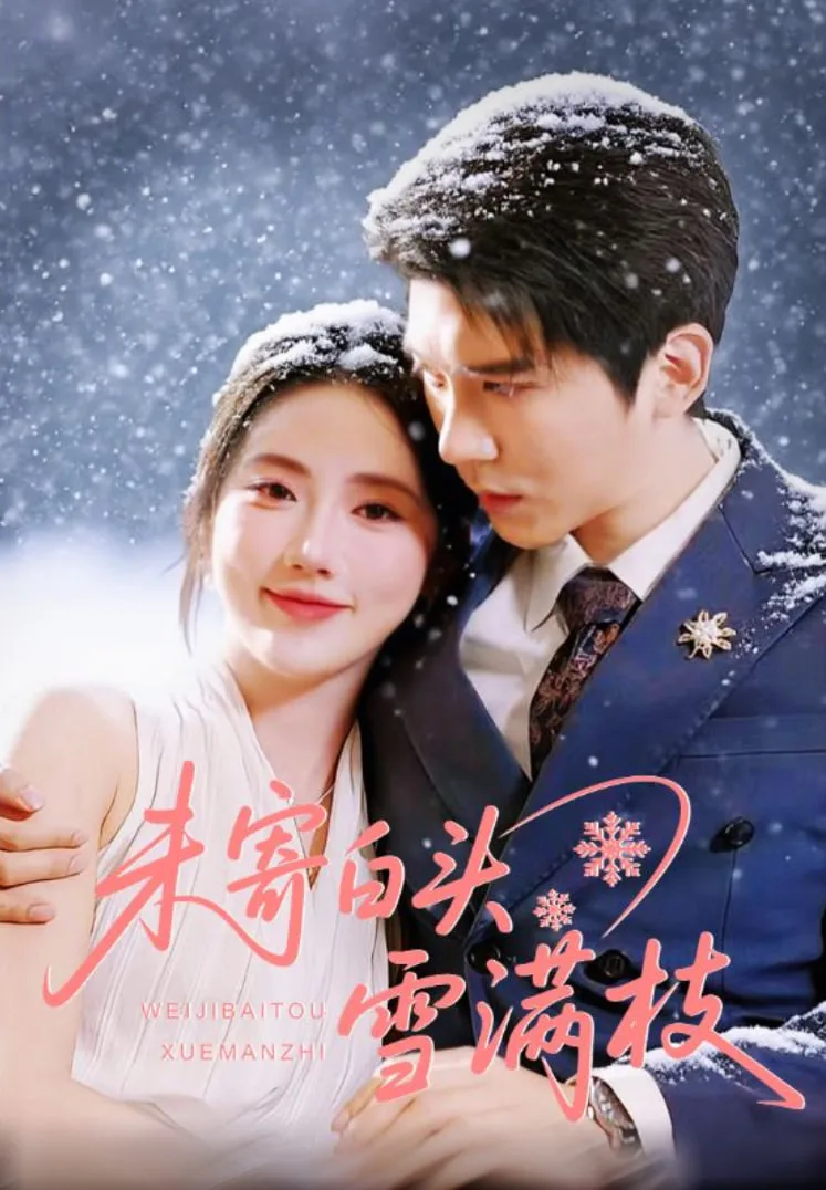 未寄白头雪满枝海报