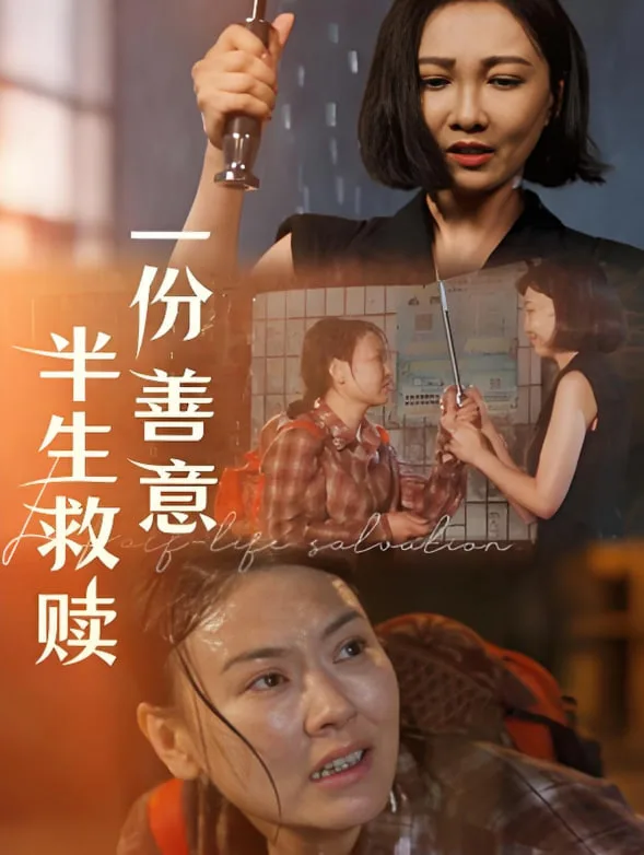 一份善意半生救赎海报