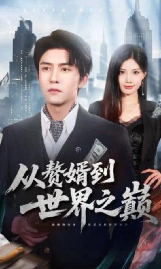 从赘婿到世界之巅海报
