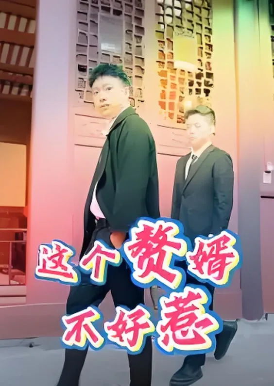 这个赘婿不好惹海报
