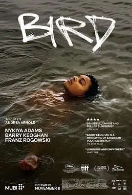 鸟 2024海报