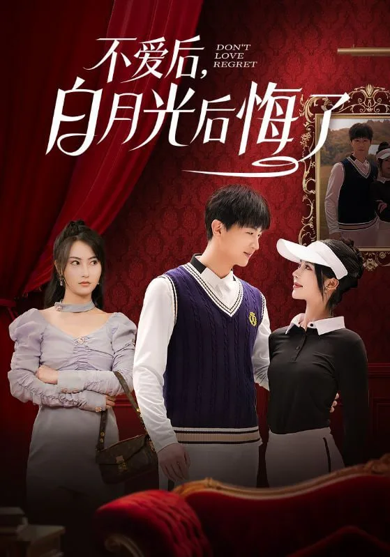 不爱后，白月光后悔了海报