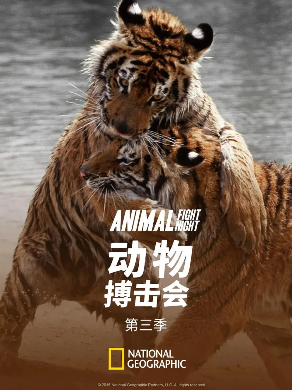 动物搏击会 第三季海报
