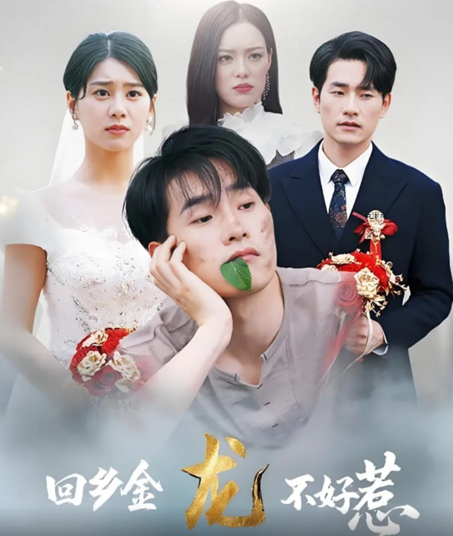 回乡金龙不好惹海报