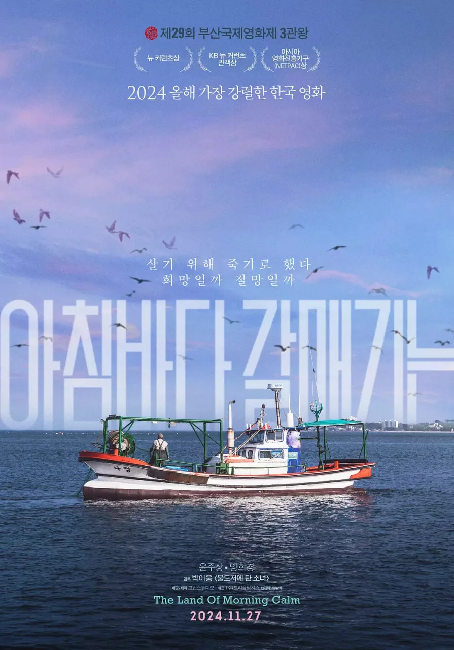 晨海的海鸥海报