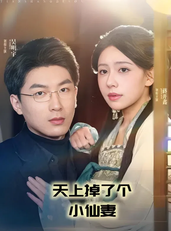 天上掉了个小仙妻海报