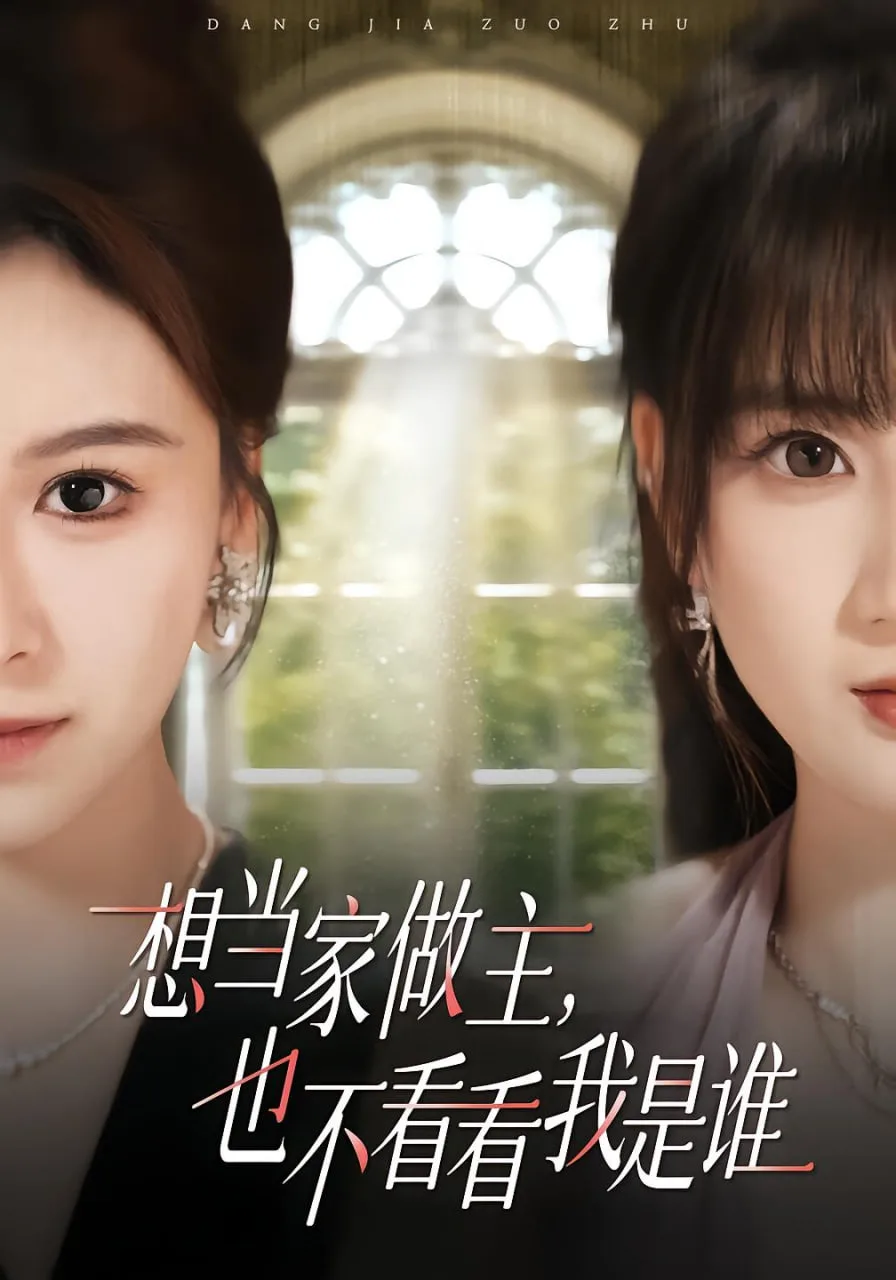 想当家做主，也不看看我是谁海报