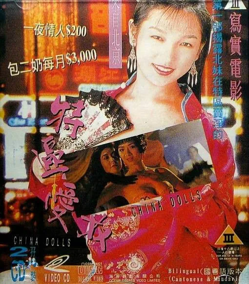 特区爱奴海报