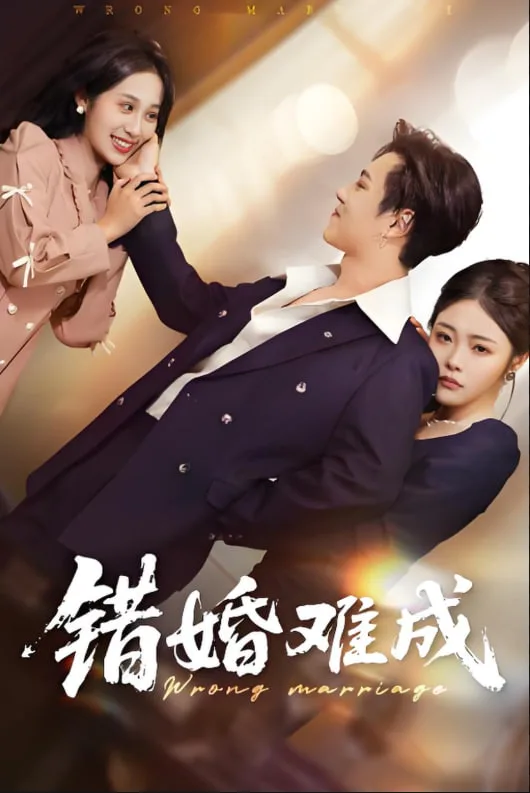 错婚难成海报