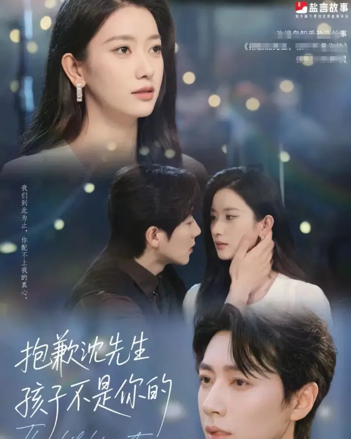 抱歉沈先生孩子不是你的海报